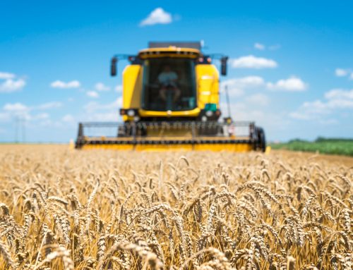 Projet de loi d’urgence pour la protection et la souveraineté agricoles : première lecture à l&rsquo;Assemblée nationale