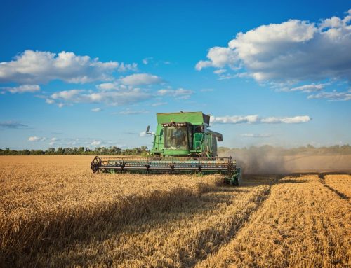 Loi d&rsquo;urgence agricole : pourquoi j&rsquo;ai voté pour ce texte